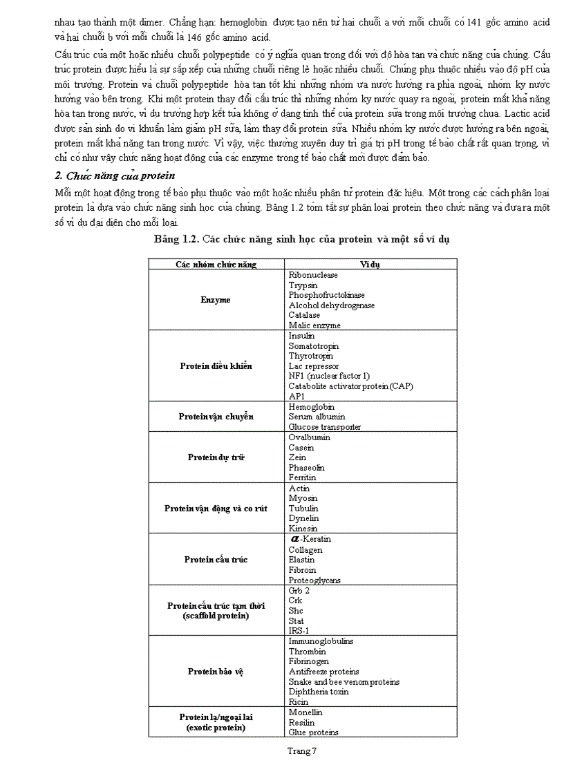 image for page Sinh hoc phân tử