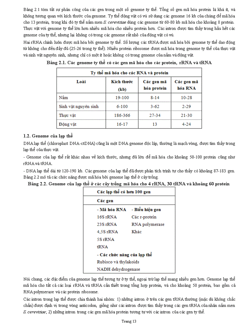 image for page Sinh hoc phân tử