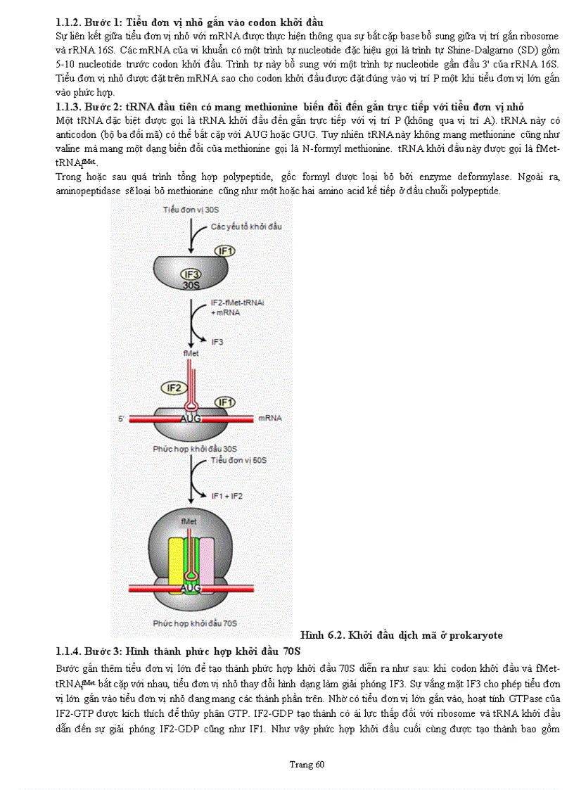 image for page Sinh hoc phân tử