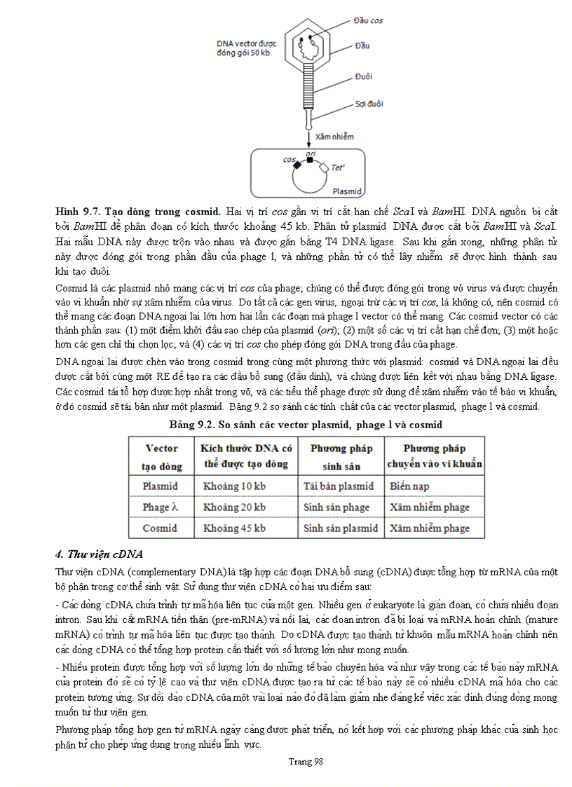 image for page Sinh hoc phân tử