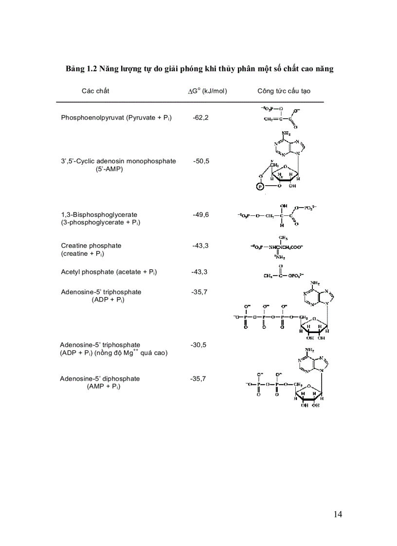 image for page Sinh li hoc