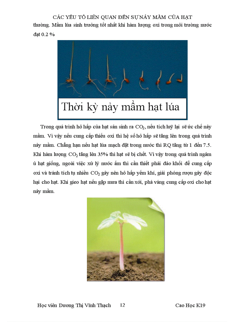 image for page Sinh lý chín của hạt và quả