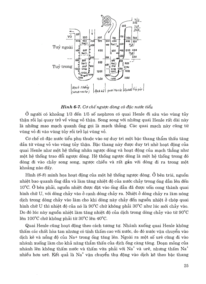 image for page Sinh lý học tập 2 Nhà xuất bản y hoc