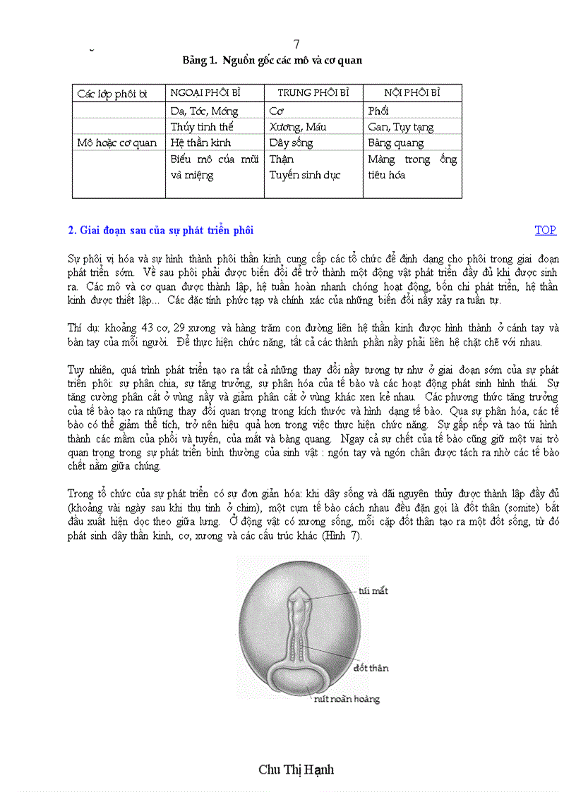 image for page Sự phát triển phôi