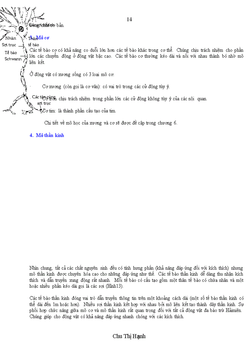 image for page Sự phát triển phôi