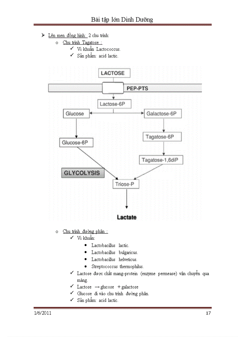 image for page Sữa chua