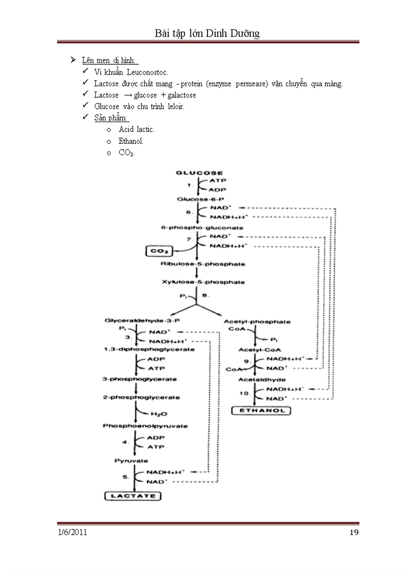 image for page Sữa chua