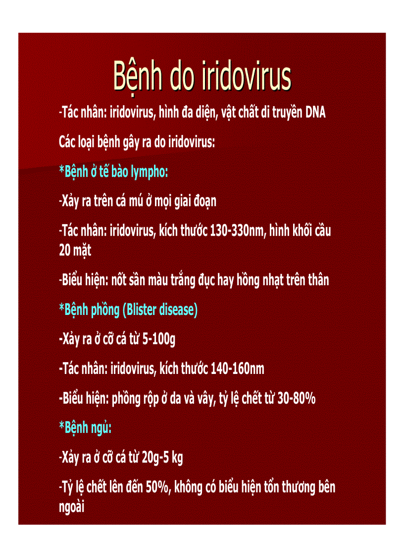 image for page Tai lieu