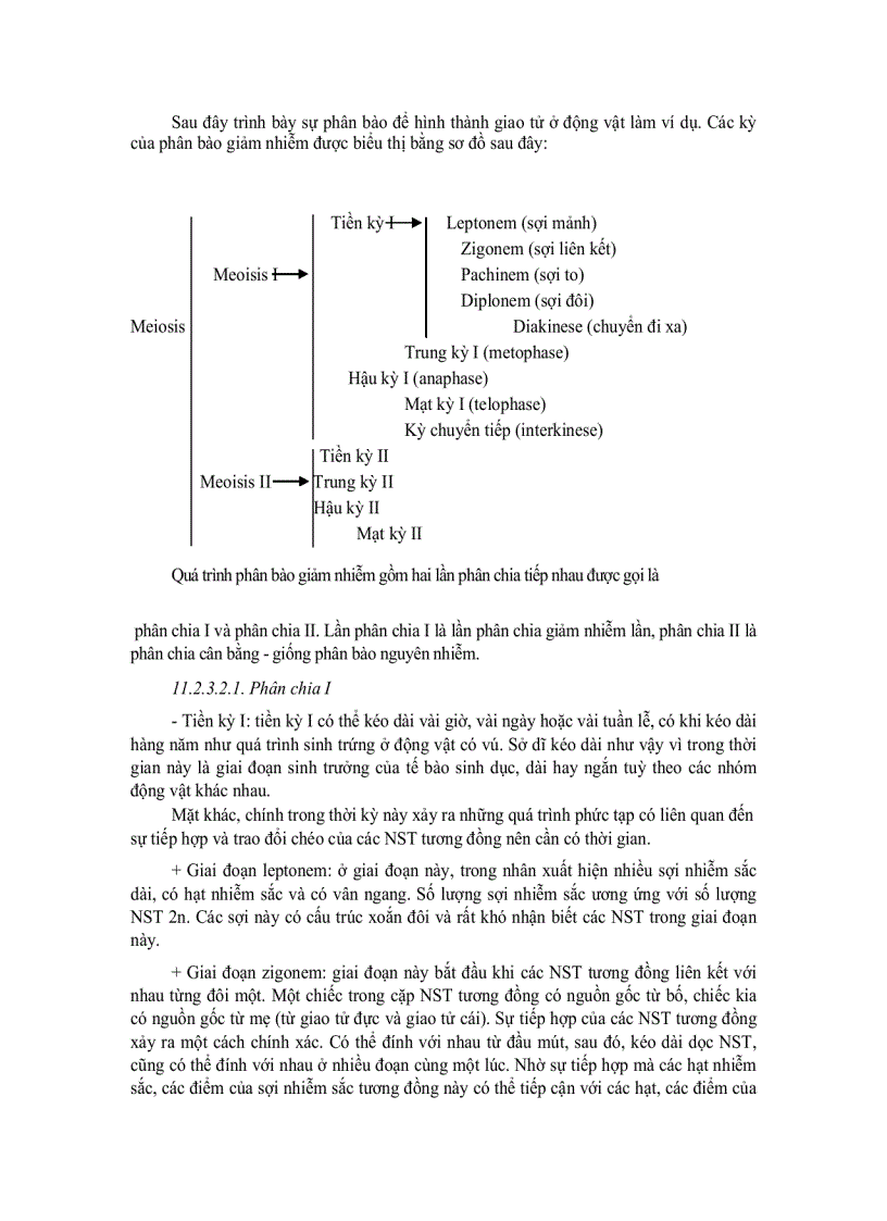 image for page Tế bào học 10