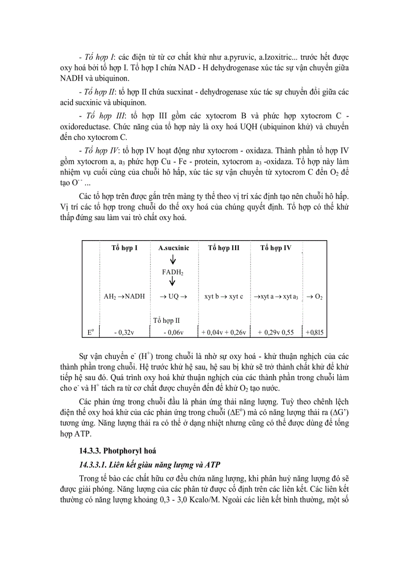 image for page Tế bào học 13