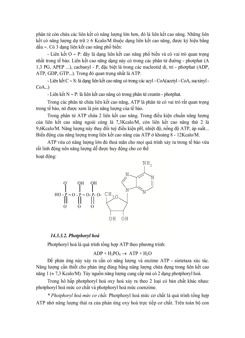 image for page Tế bào học 13