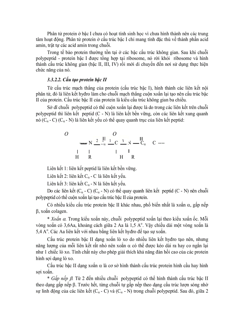 image for page Tế bào học 2