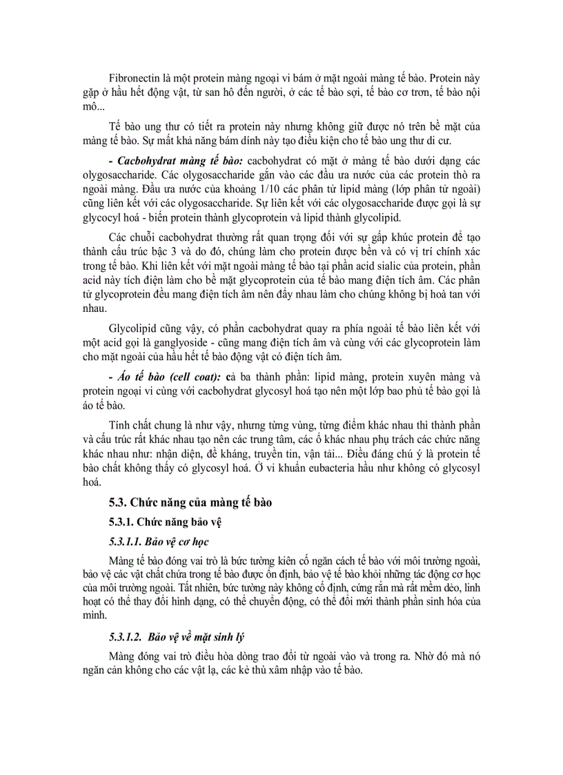 image for page Tế bào học 4