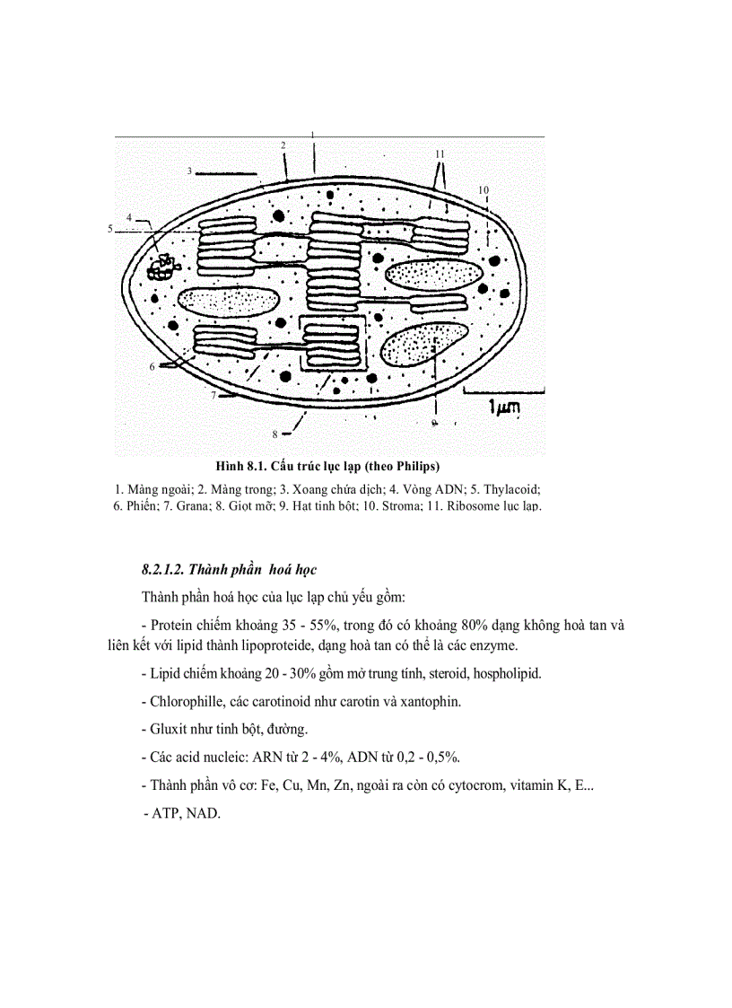 image for page Tế bào học 7