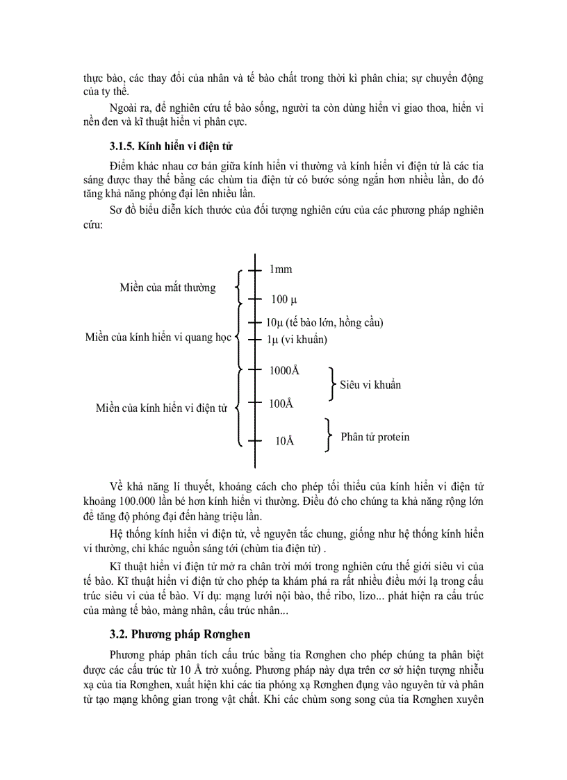 image for page Tế bào học