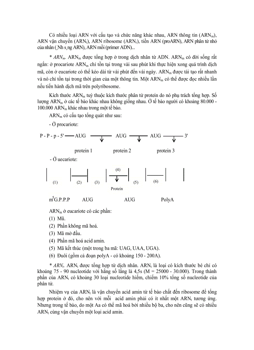 image for page Tế bào học