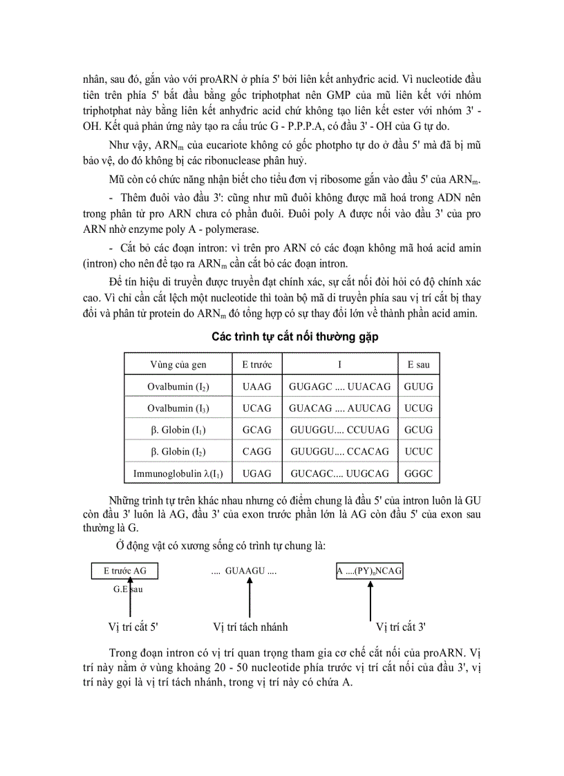 image for page Tế bào học11