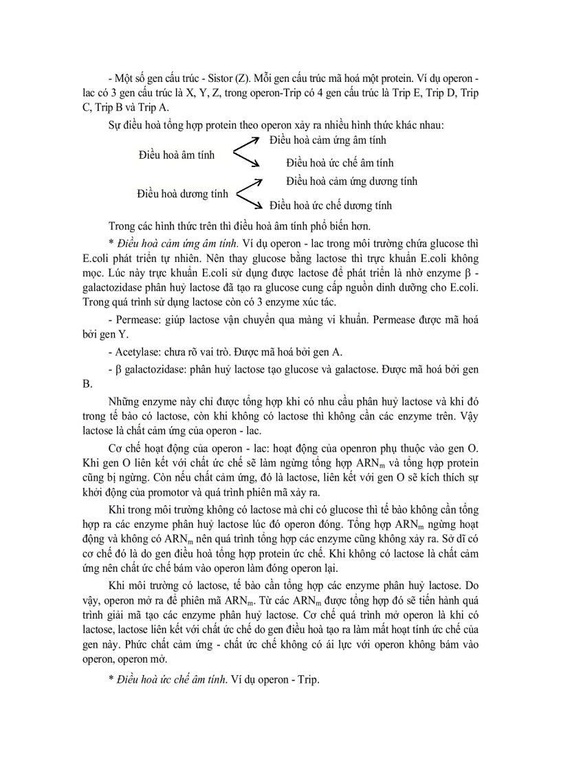 image for page Tế bào học11