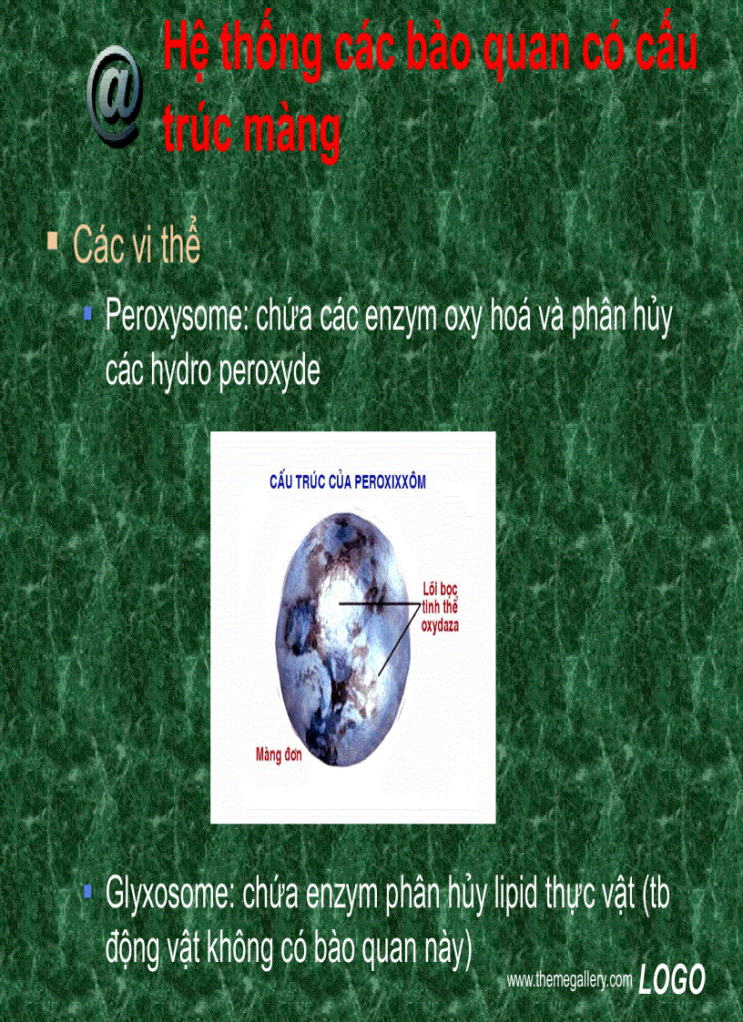 image for page Tế bào