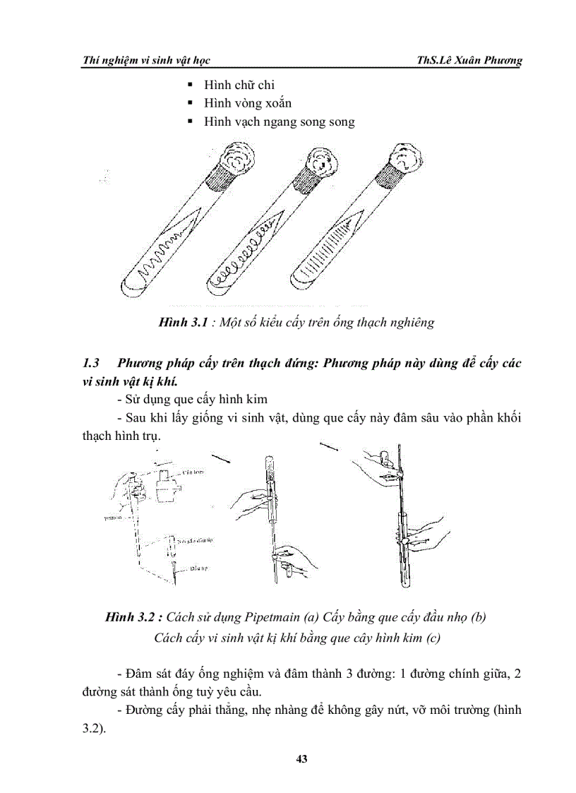 image for page Thi nghiệm vi sinh