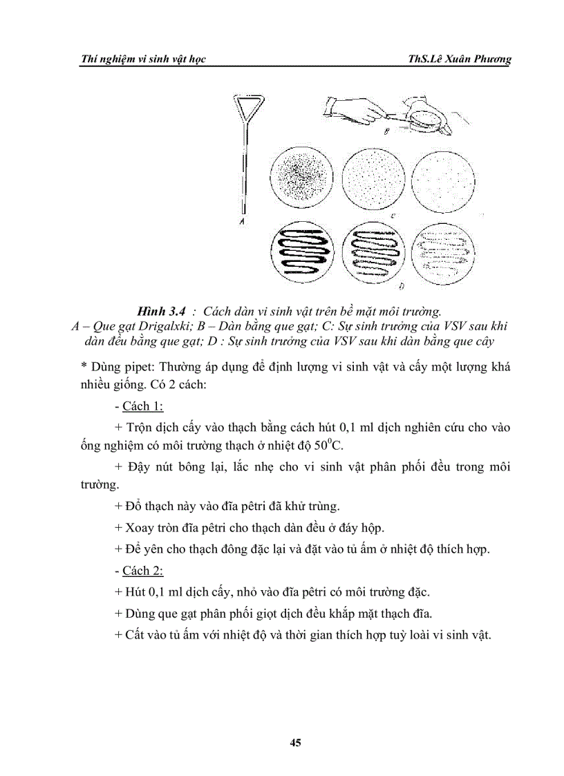 image for page Thi nghiệm vi sinh