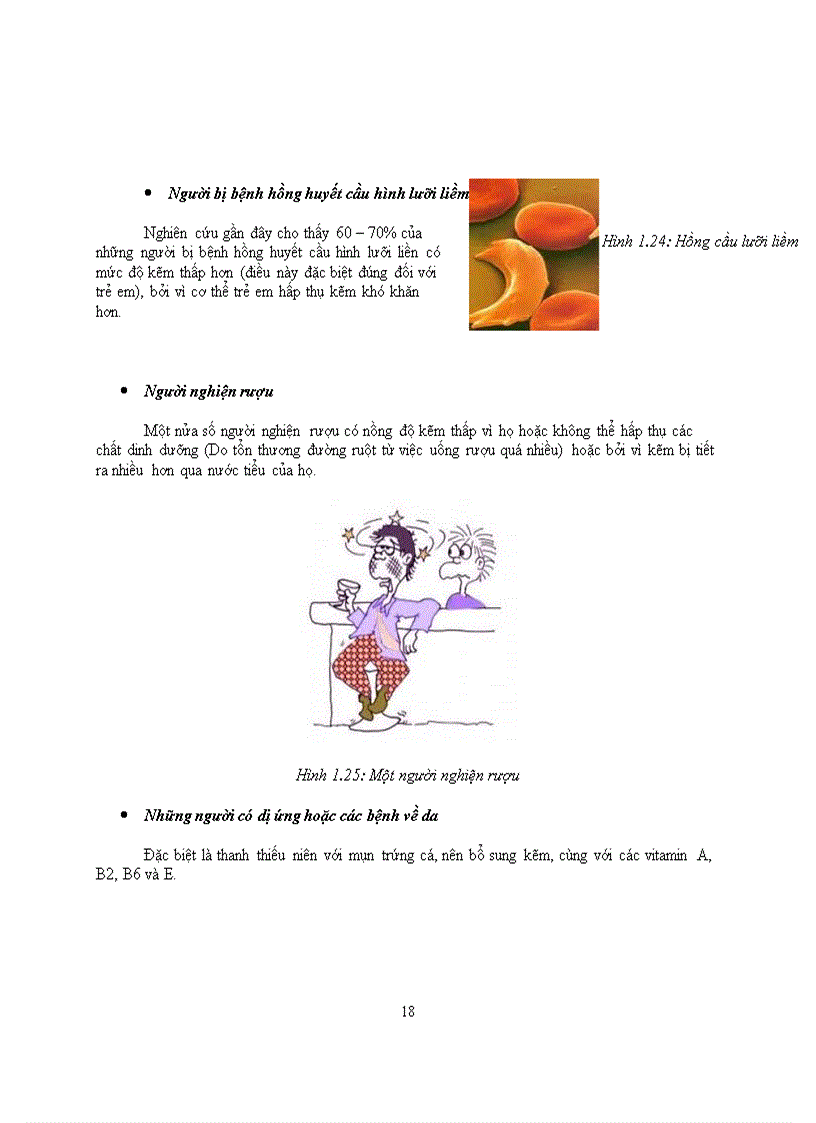 image for page Thuc Pham Giau Kem