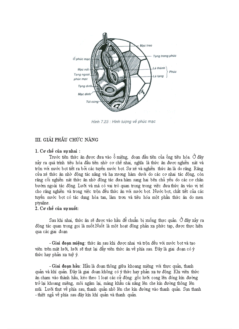 image for page Tieu hoa