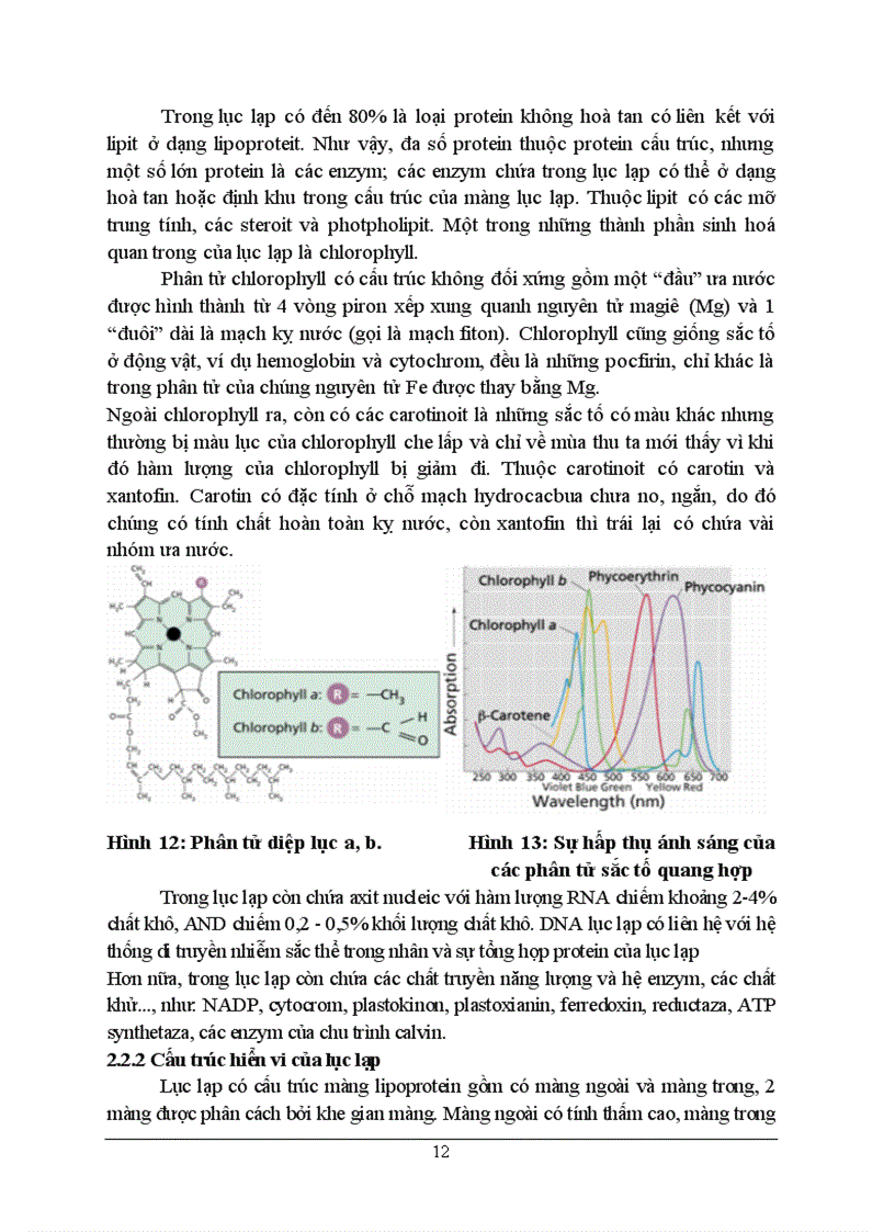image for page Tieu luạn sinh học te bao