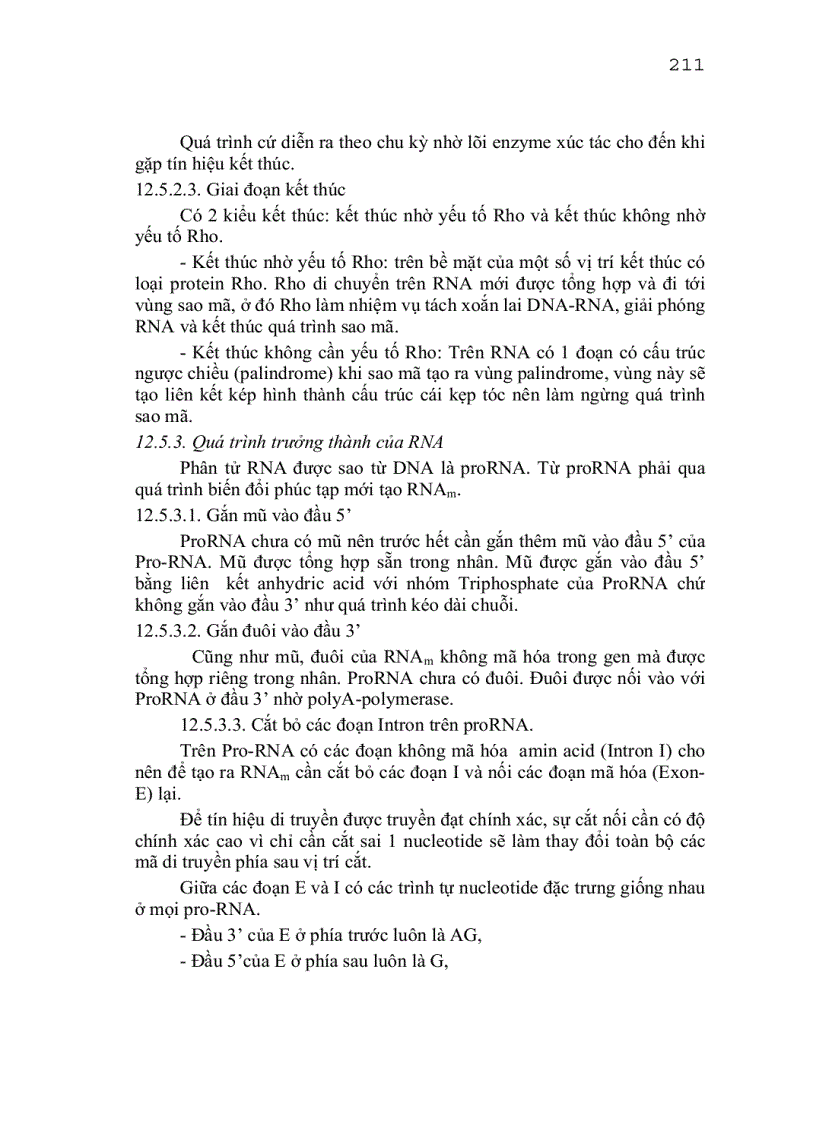 image for page Trao doi axit nucleit