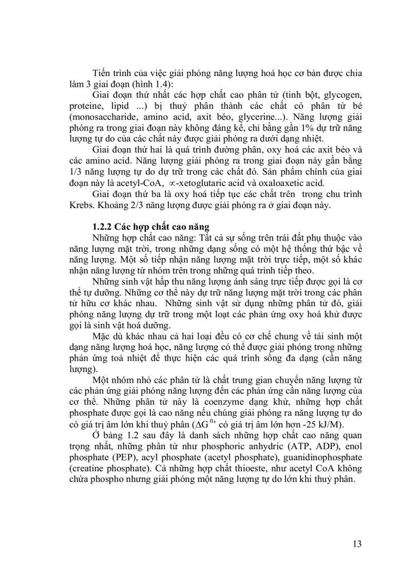 image for page Trao doi chat va nang luong sinh hoc