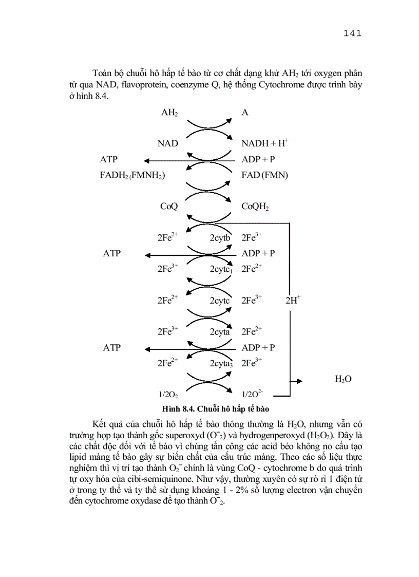 image for page Trao doi chat va nang luong