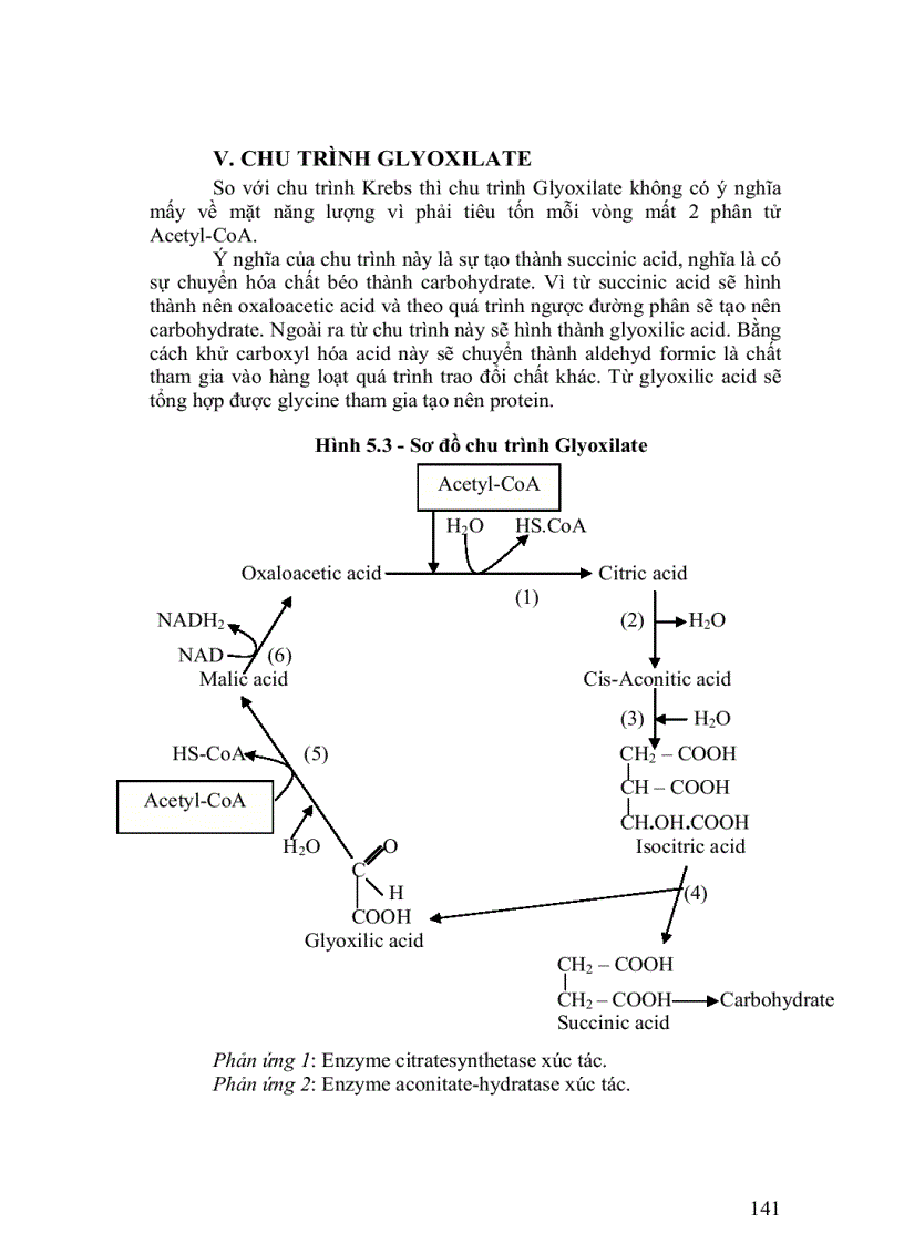 image for page Trao doi lipit