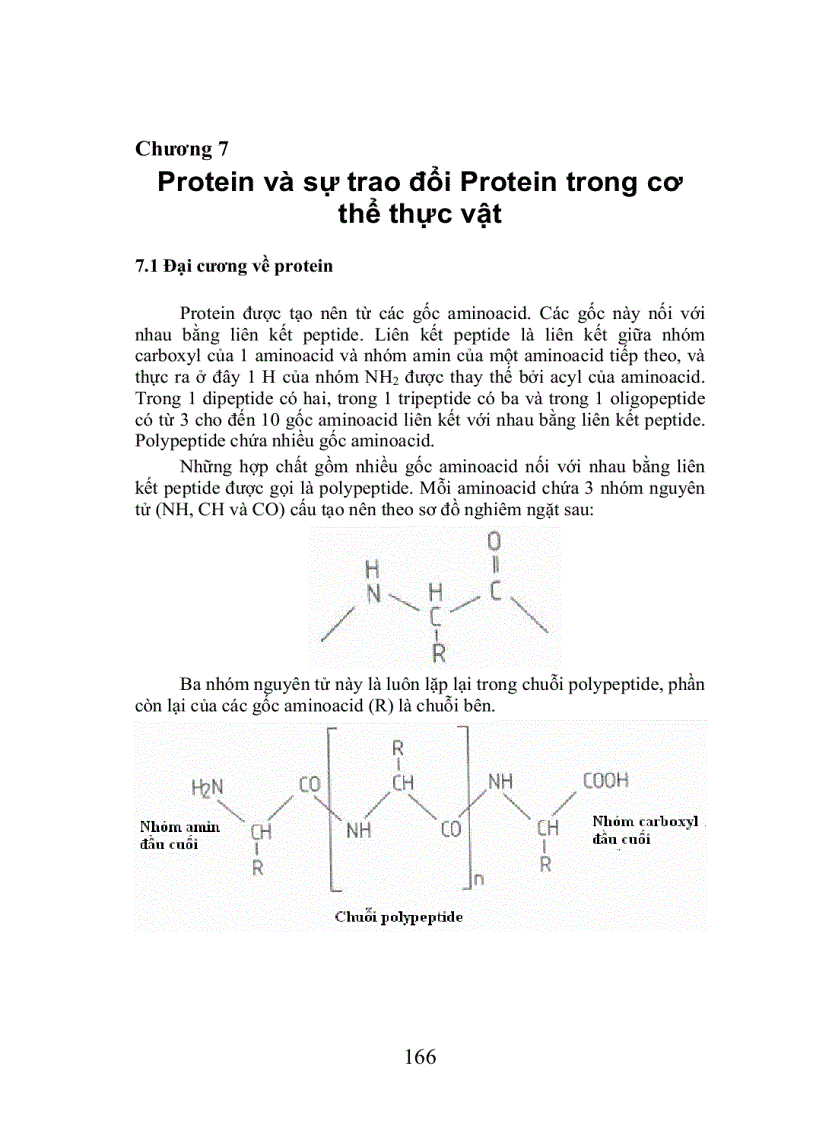 Trao doi protein