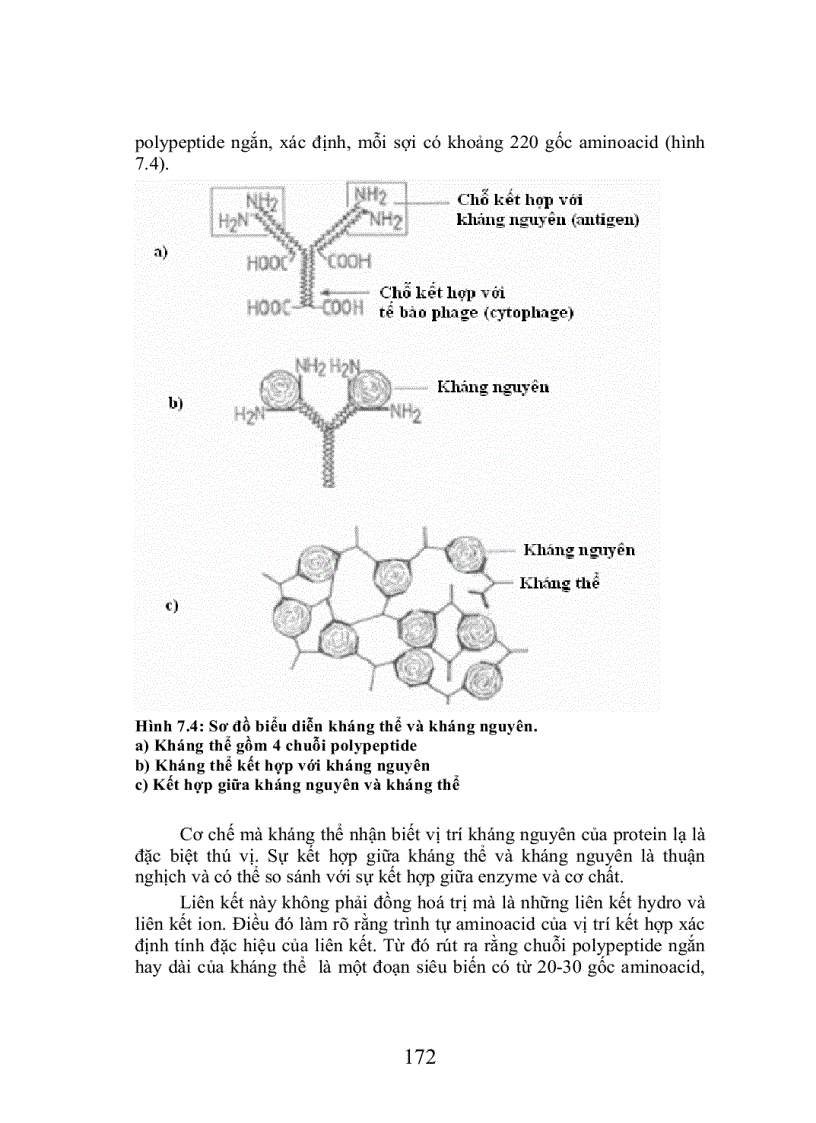 image for page Trao doi protein