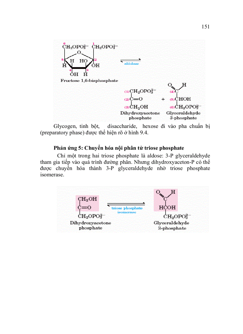 image for page Trao doi saccarit