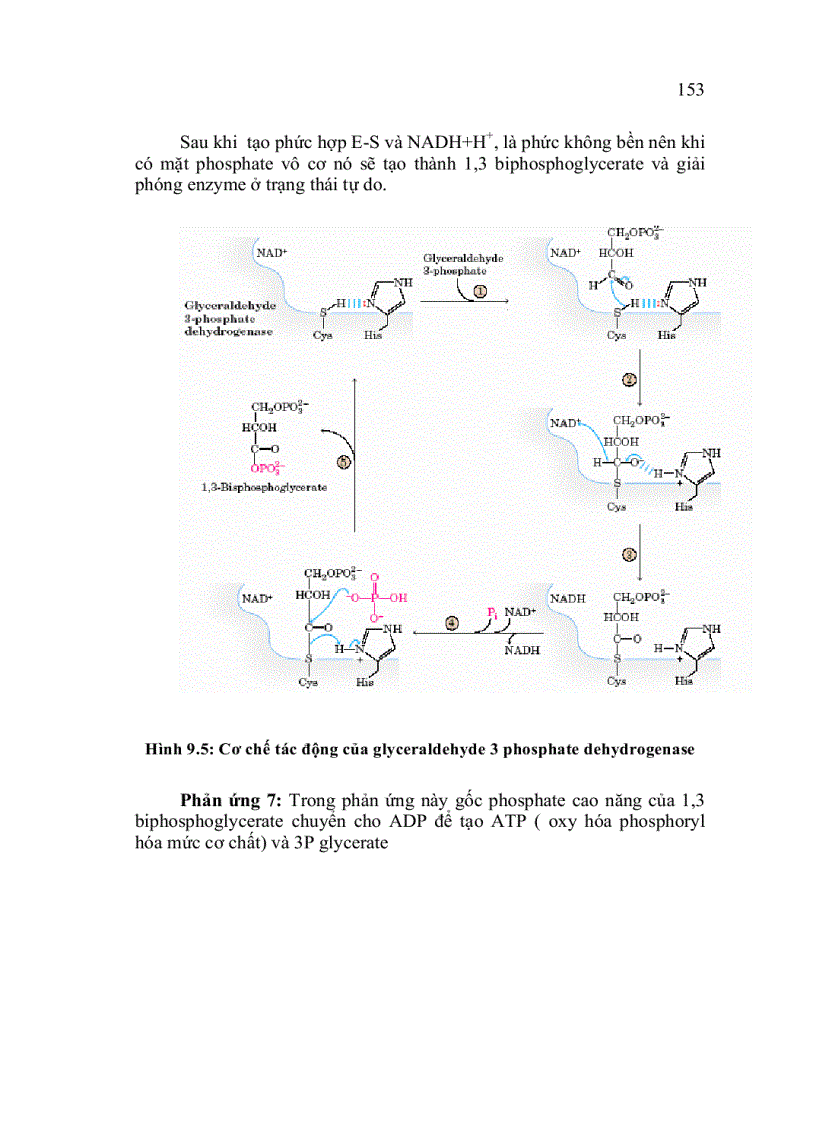 image for page Trao doi saccarit