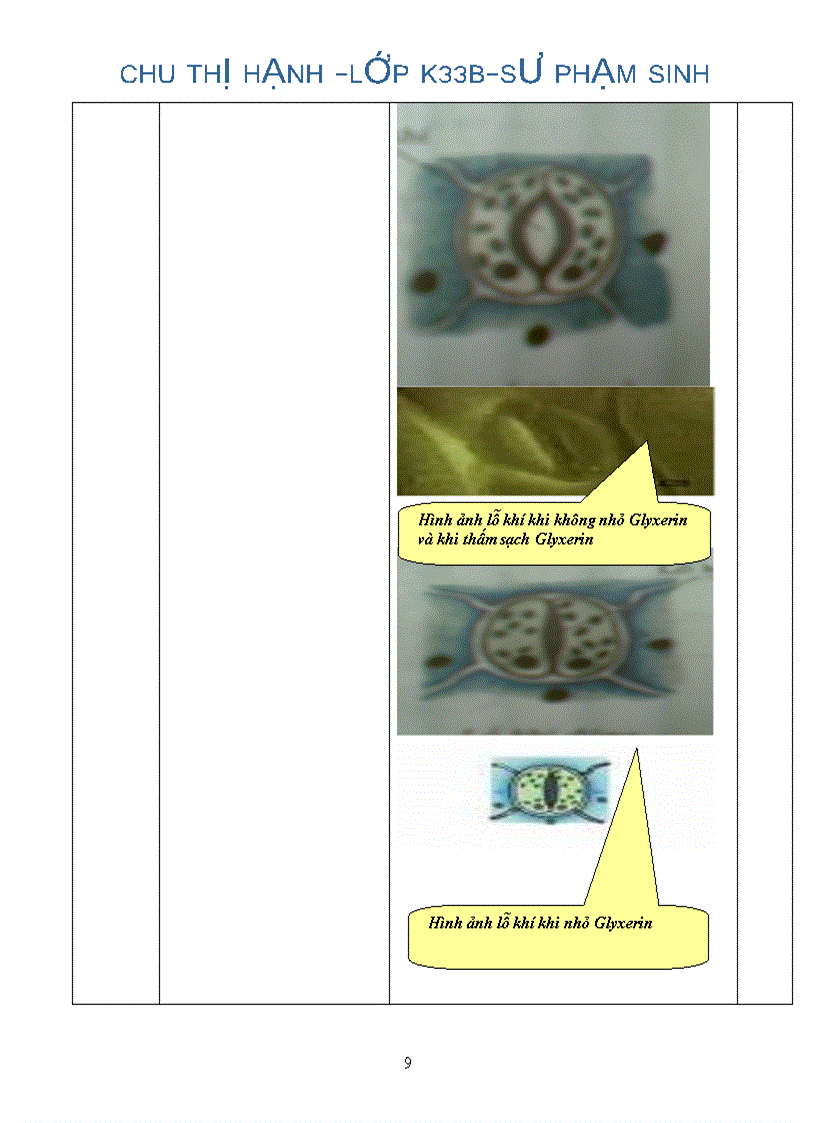 image for page Tường trình thực hành sinh lý thực vật ĐHSPHN2