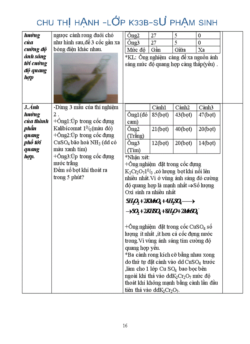 image for page Tường trình thực hành sinh lý thực vật ĐHSPHN2