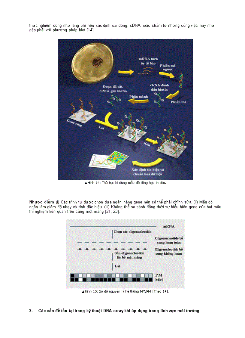 image for page Ứng dụng các kỹ thuật array trong lĩnh vực môi trường