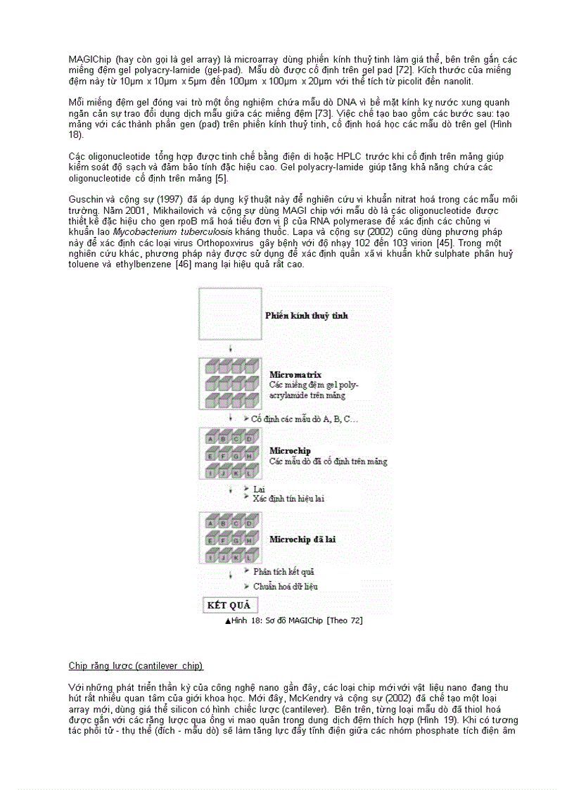 image for page Ứng dụng các kỹ thuật array trong lĩnh vực môi trường