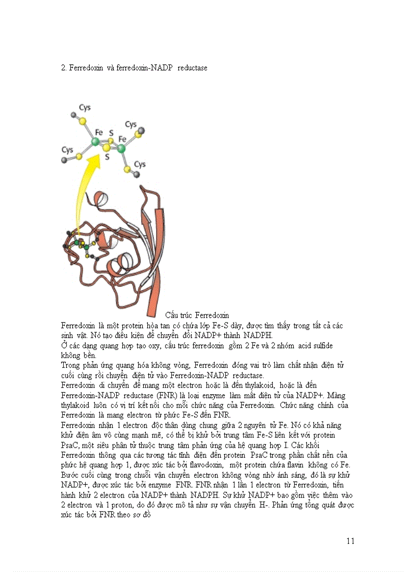 image for page Vận chuyển electron