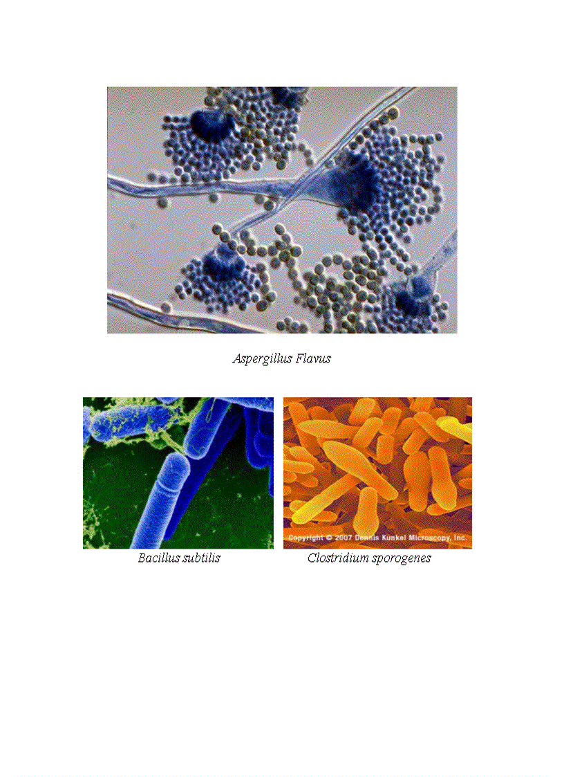 image for page Ve sinh an toan thuc pham