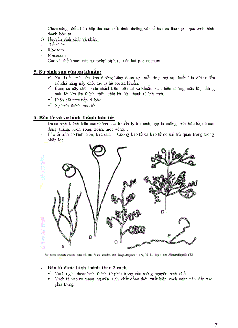 image for page Vi sinh vat cổ