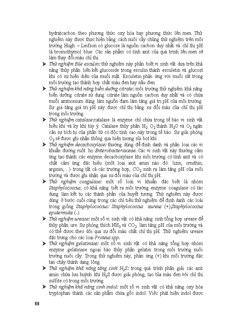 image for page Vi sinh vat hoc thuc pham