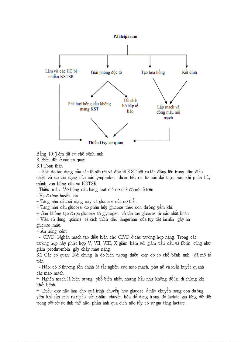 image for page Vi sinh vat va benh tat