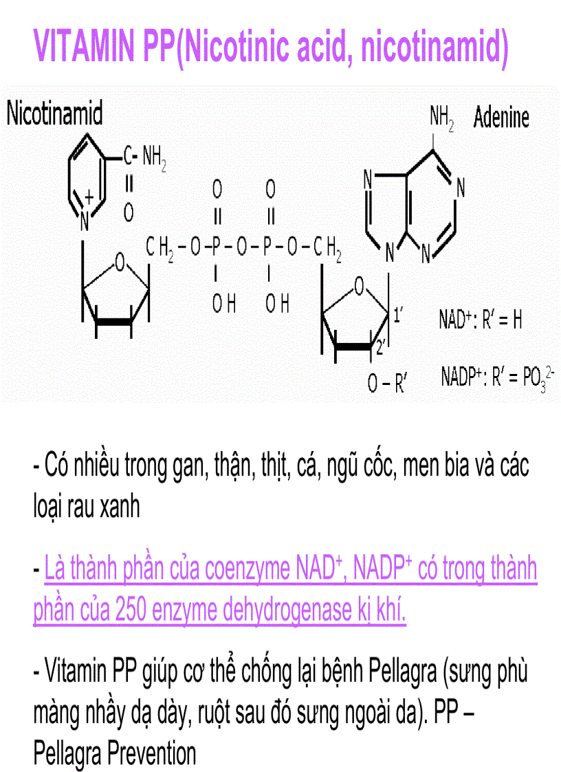 image for page Vitamin