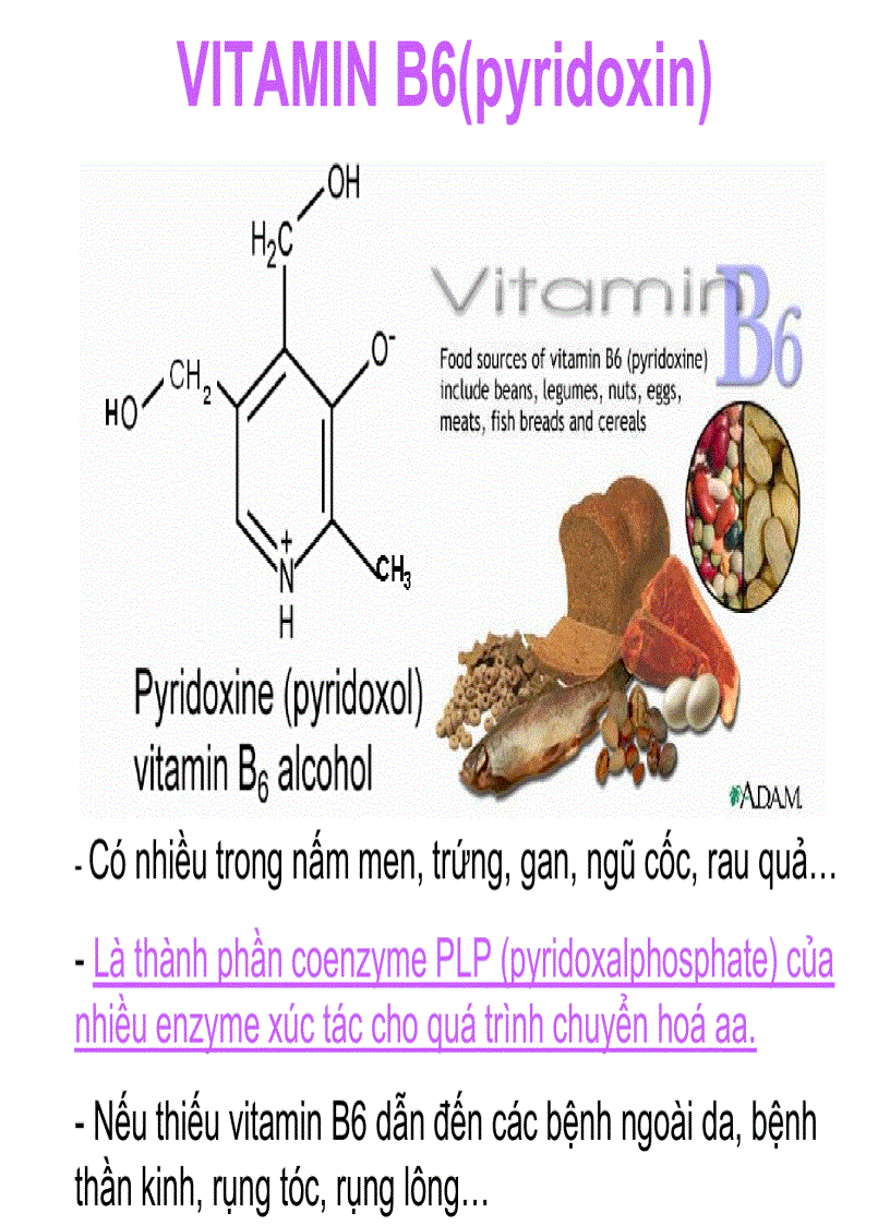 image for page Vitamin