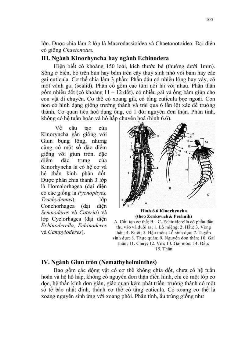 image for page Xoang giả