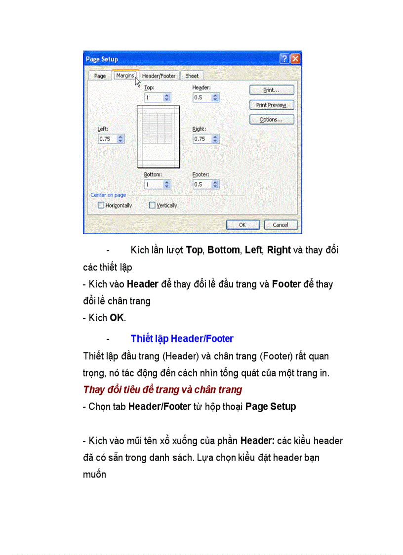 Kĩ thuật in trong excel