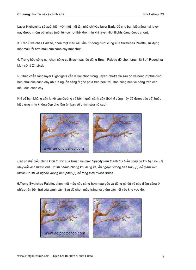 image for page Photoshoft chương 8